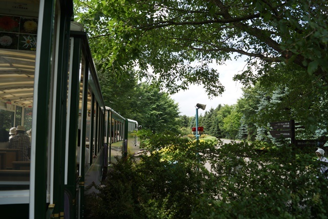 d0181492_7014.jpg