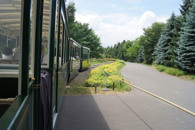 d0181492_702680.jpg