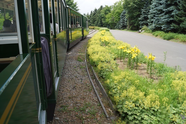 d0181492_704879.jpg