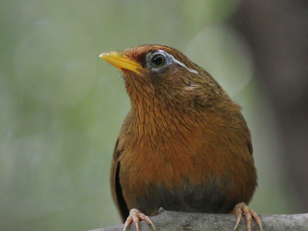 a0223993_23104286.jpg