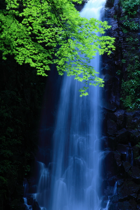 涼を求めて・白糸の滝_e0135098_5412631.jpg