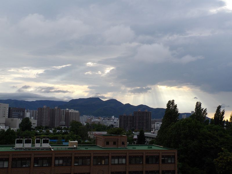 気温は上がりましたが相変わらず風が強い札幌の空から天使が降りてきた_c0025115_1992310.jpg
