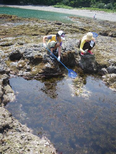 尾鷲磯遊び 海水浴 まさやんのお気楽diy生活 尾鷲磯遊び 海水浴 まさやんのお気楽diy生活