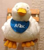 たそがれの..._a0043520_15372796.jpg