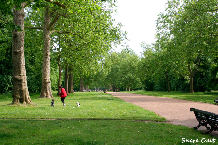 Kensington Gardens_c0127227_11211048.jpg
