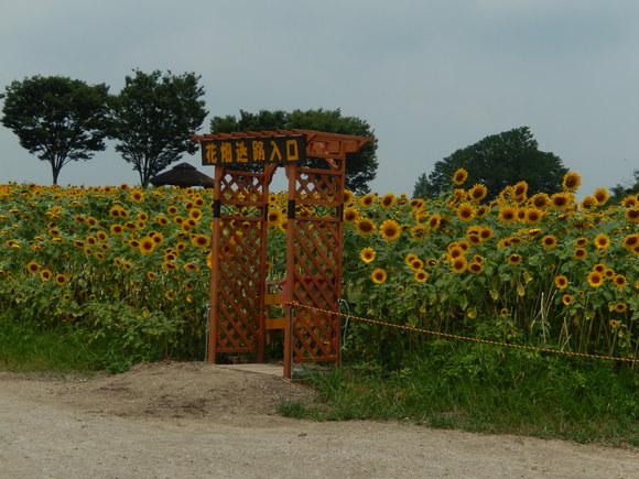 d0331729_22291634.jpg