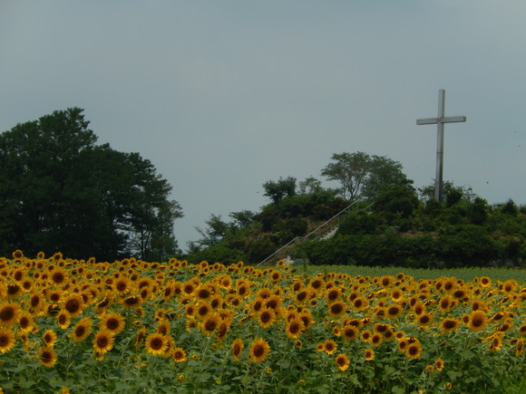 d0331729_22445270.jpg