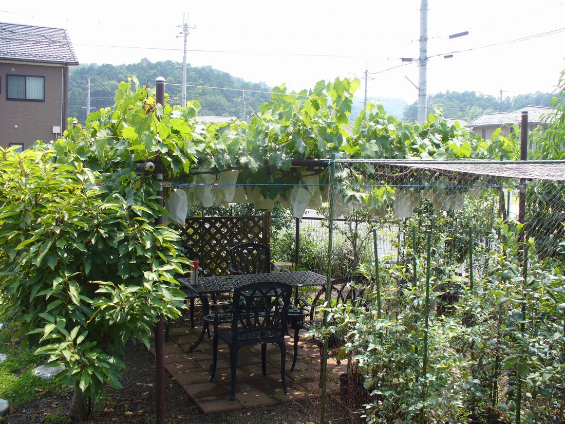 f0275632_213729.jpg