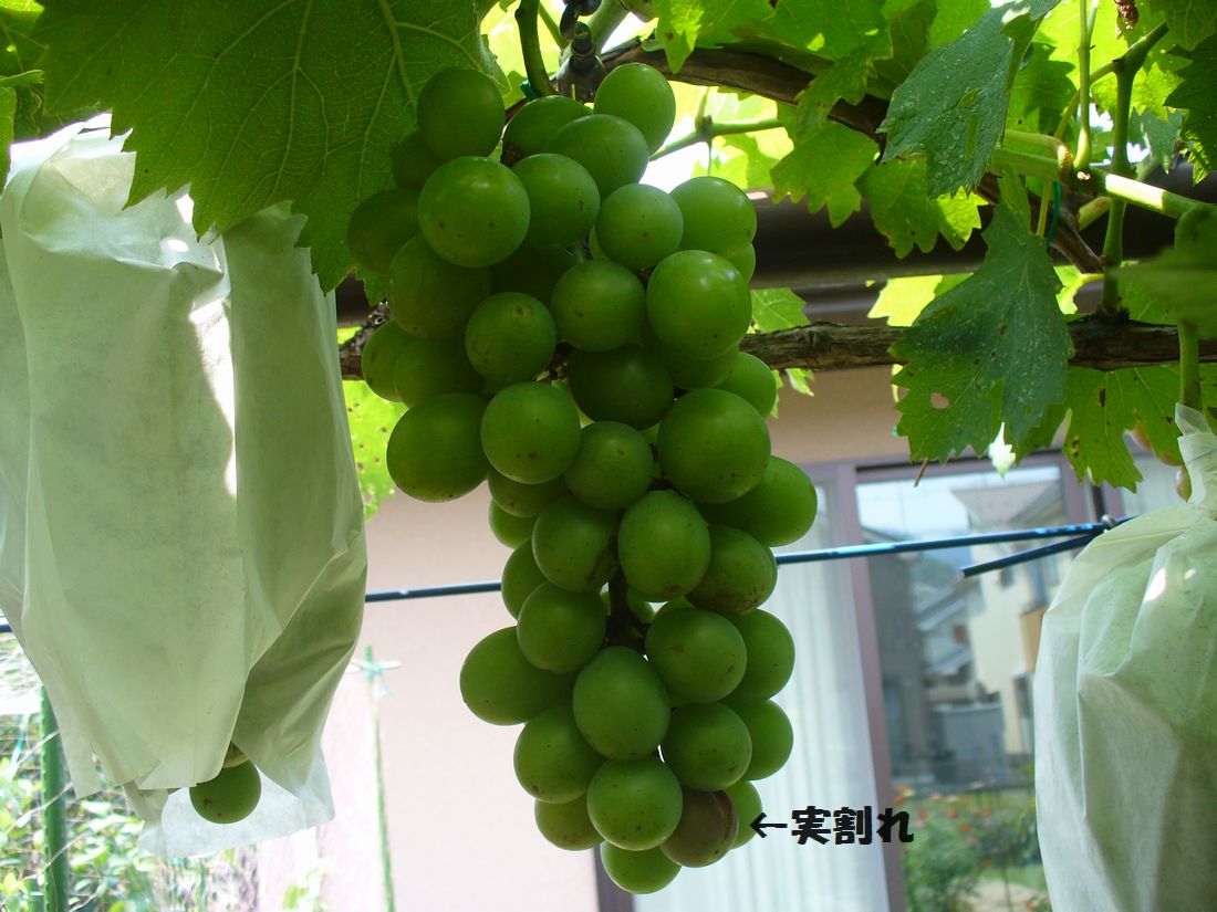 f0275632_21425999.jpg