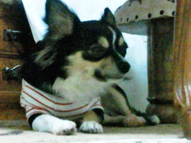 b0167733_1123731.jpg