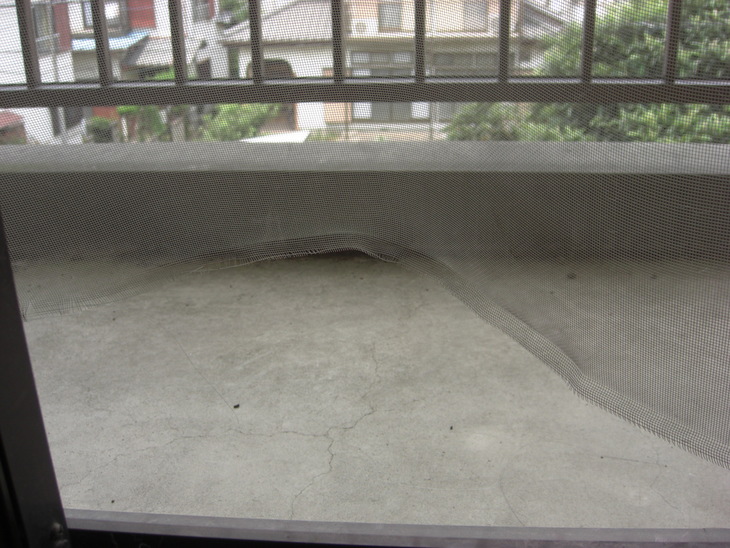 a0163738_132135100.jpg