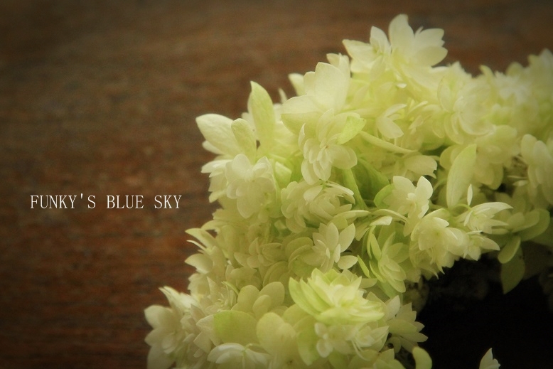 白い紫陽花のリース*_c0145250_95533.jpg