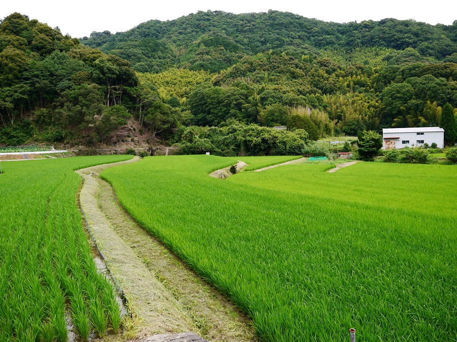 　　里山の風景_b0093754_2024126.jpg