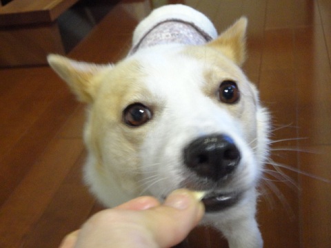 f0046854_2213593.jpg