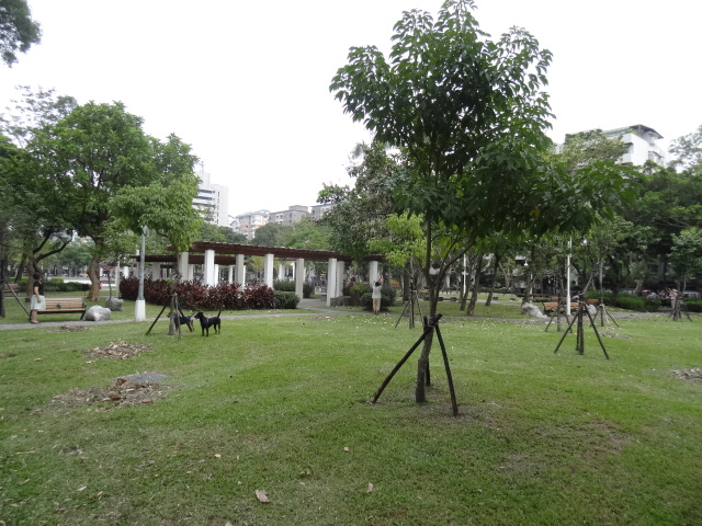f0036857_2023828.jpg