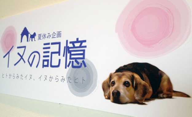 「イヌの記憶」はじまりました_b0052471_18182014.jpg