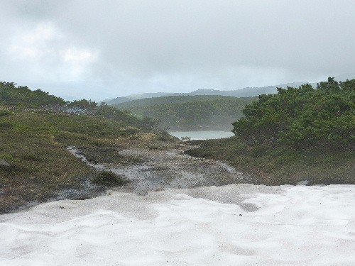 旭岳・姿見の池のエゾシマリス_d0084473_22142130.jpg