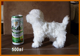 d0282395_1313620.png
