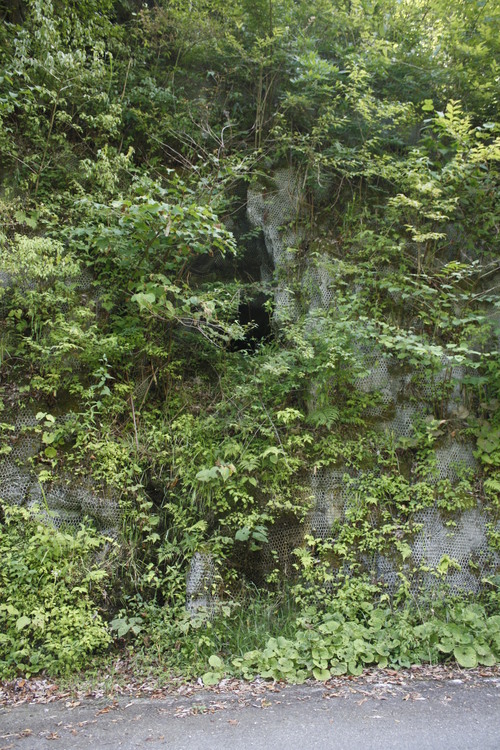 b0125397_12857.jpg