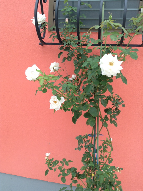 c0171899_18543119.jpg