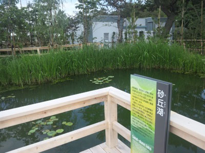 新潟市水族館マリンピア日本海に行って来た〜其之弐_f0082402_15251656.jpg