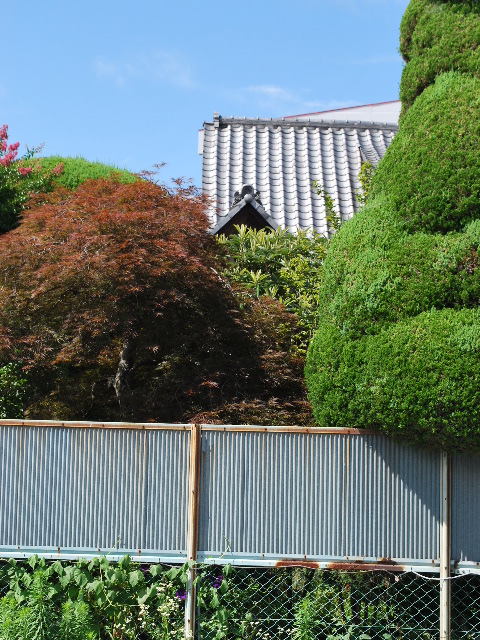 埼玉県秩父市の宮前家住宅(昭和モダン邸宅探訪)_f0142606_13321018.jpg