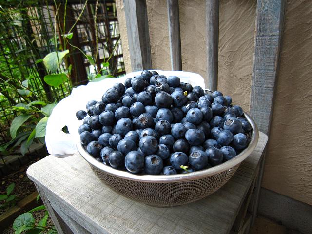 a0141408_20523271.jpg