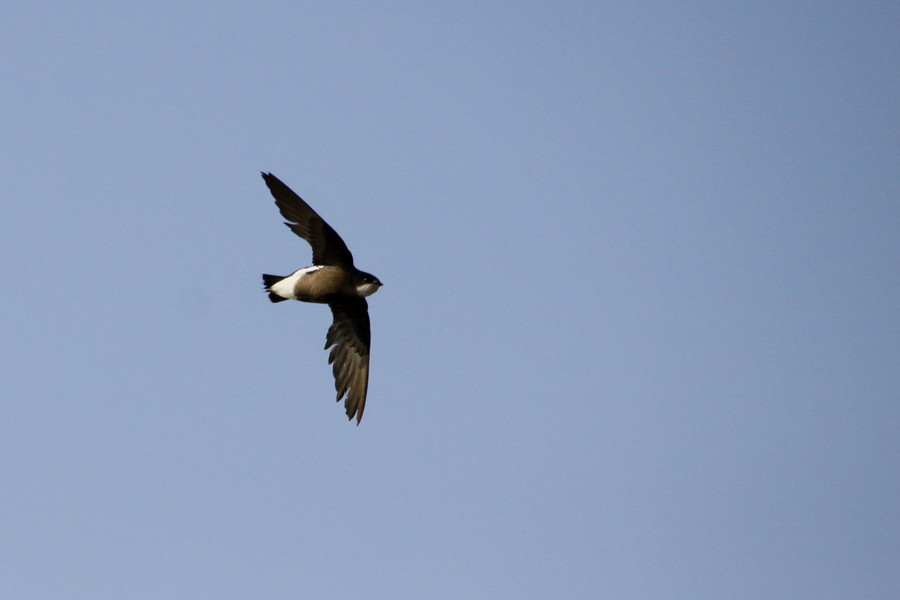 f0235311_23432010.jpg