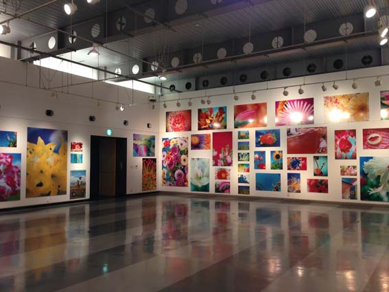 蜷川実花個展＠金津創作の森が7/20にオープンしました！_b0101418_1881025.jpg