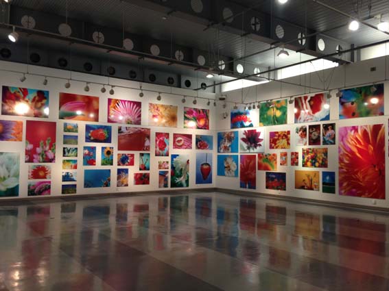 蜷川実花個展＠金津創作の森が7/20にオープンしました！_b0101418_189731.jpg