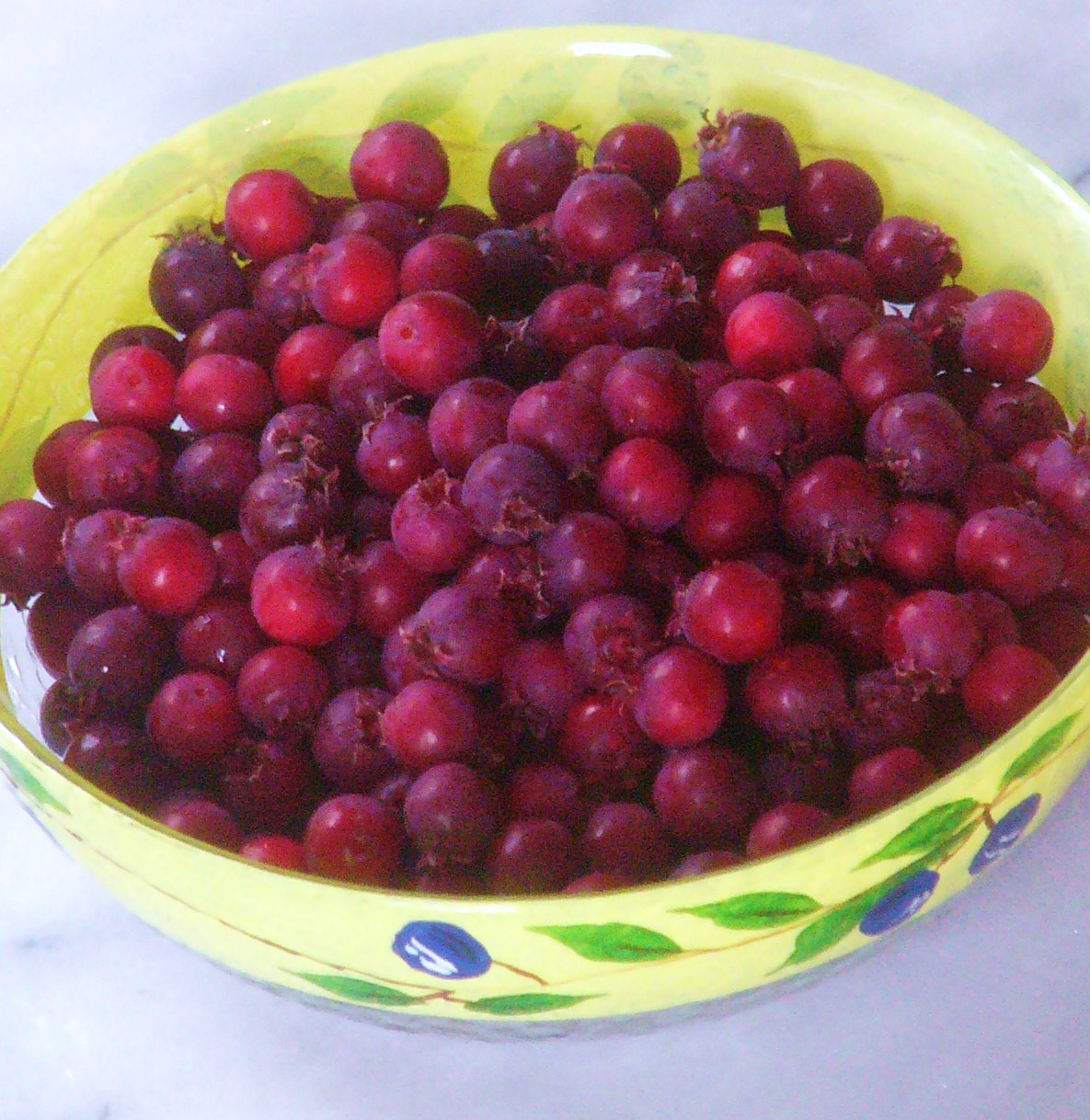 a0146024_18491648.jpg
