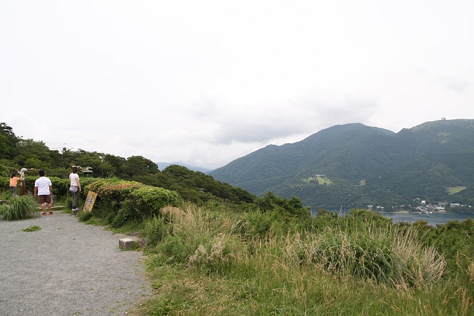 曇天の芦ノ湖西側稜線歩き　その７_c0196928_2150838.jpg