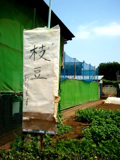 c0195134_22111557.jpg