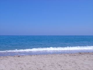 e0120938_34398.jpg