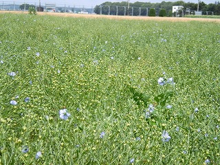 （石狩市）厚田資料室_d0289139_18394815.jpg