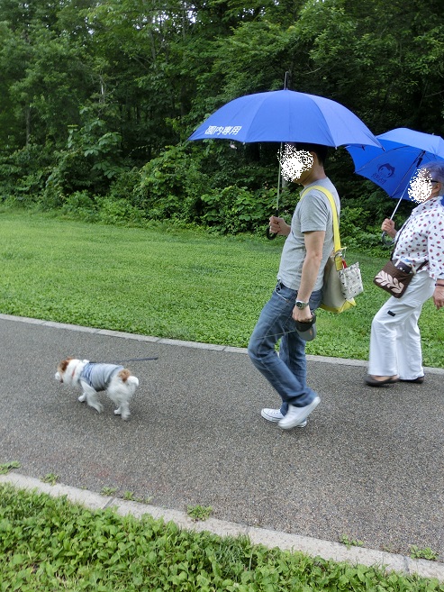 夏のお花見 たんばらラベンダーパーク♪　_c0156345_1693120.jpg