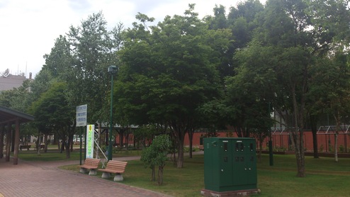 e0255945_223756.jpg