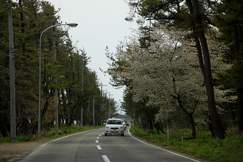 東北　2013GW その12_b0168647_15575752.jpg