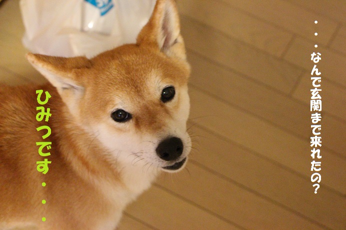 嵐・・・その時・・_f0245650_97269.jpg