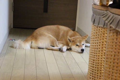 嵐・・・その時・・_f0245650_993110.jpg