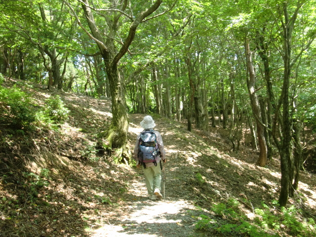 氷ノ山引原川源流 坂ノ谷_b0227552_15316100.jpg