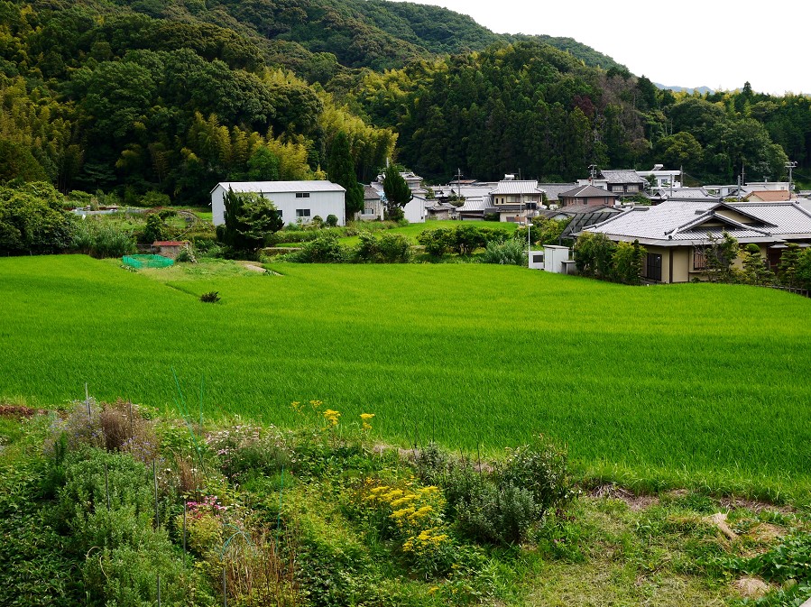 　　里山の風景_b0093754_22285383.jpg