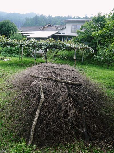 株式会社旬援隊 原木しいたけの本部伏せ作業、頑張りました!!_a0254656_18305748.jpg