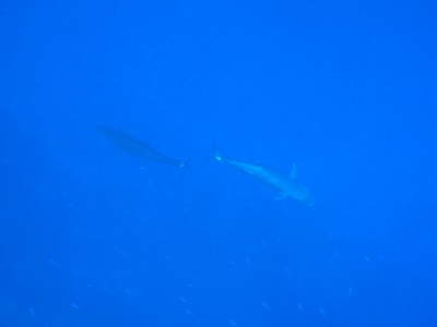 7月 27日 脱・爆流_d0113459_20145860.jpg