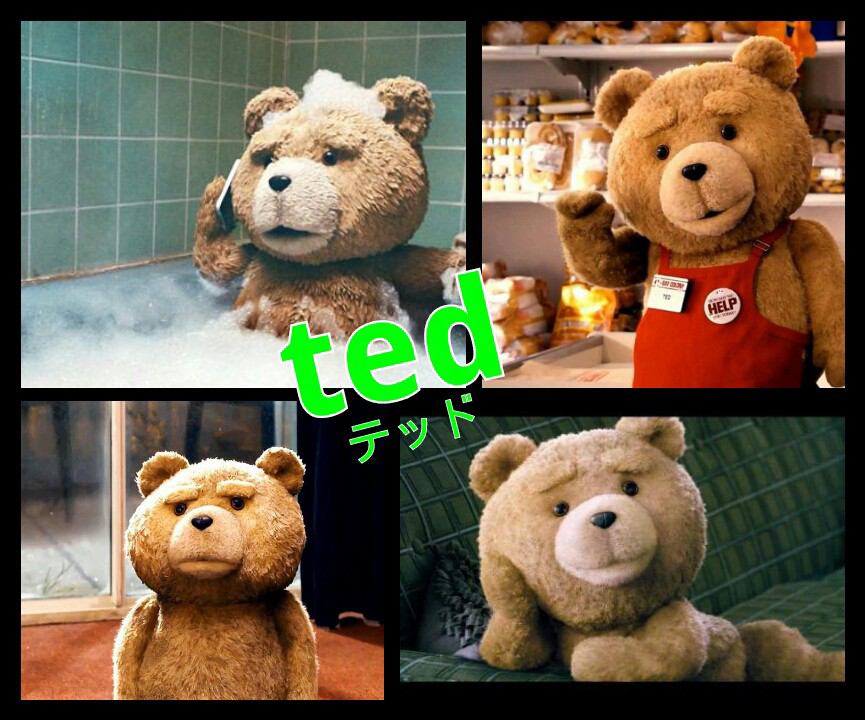 Ted テッド Day By Day