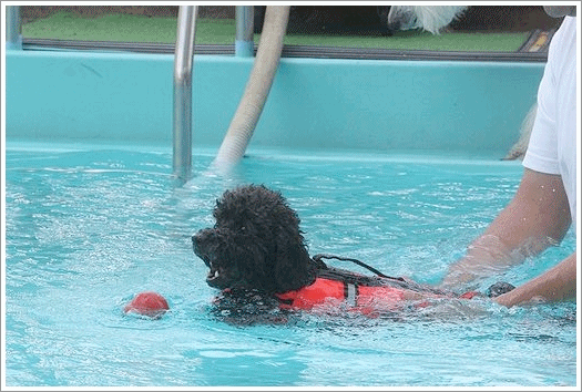 b0111376_1339406.gif