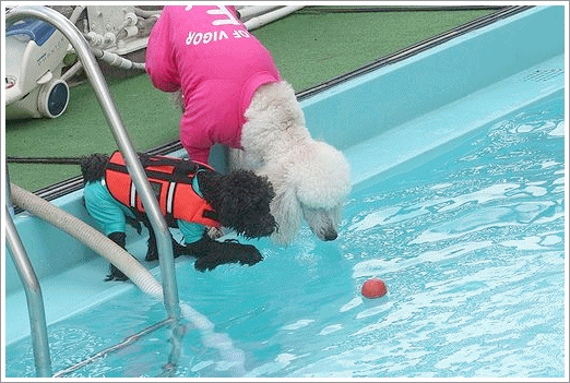 b0111376_13452842.gif