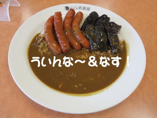 Google ナビ 消えた_b0200291_21133753.jpg