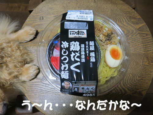 Google ナビ 消えた_b0200291_216098.jpg