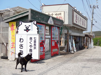 甲斐犬 那奈の旅犬リポート その4　美味しかったご当地グルメ_e0204795_8291758.jpg